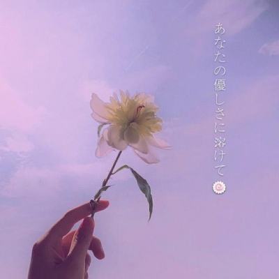 桶桶物语手游下载